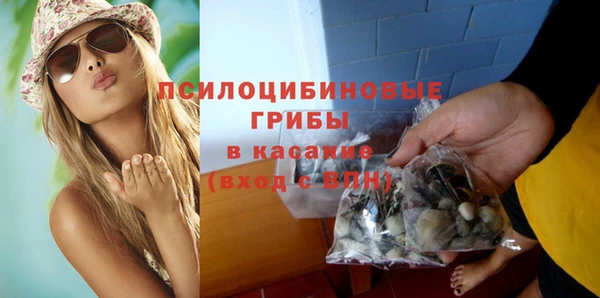 МДПВ Алексин