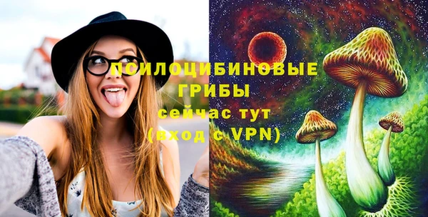 МДПВ Алексин